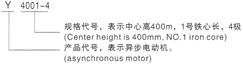 西安泰富西玛Y系列(H355-1000)高压YGM电机生产厂家三相异步电机型号说明